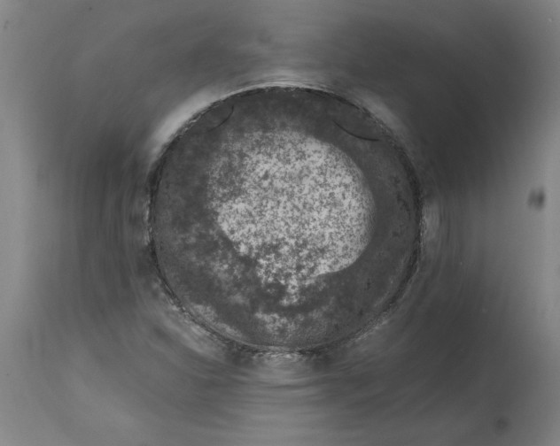 X0000114661310200911101334