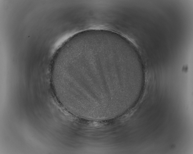 X0000114661311200911101334