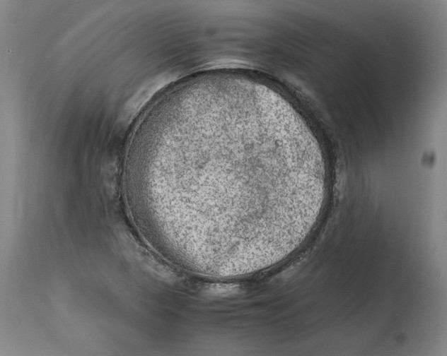 X0000114661313200911101334