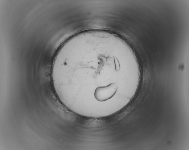 X0000114661314200911101334