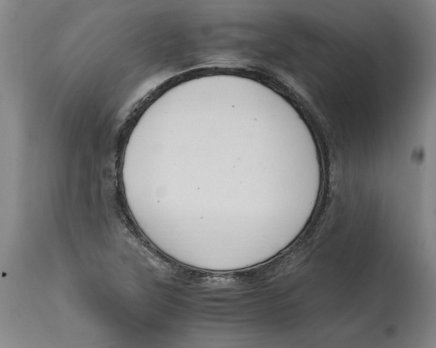 X0000114661315200911101334