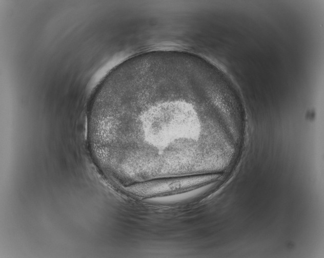 X0000114661317200911101334