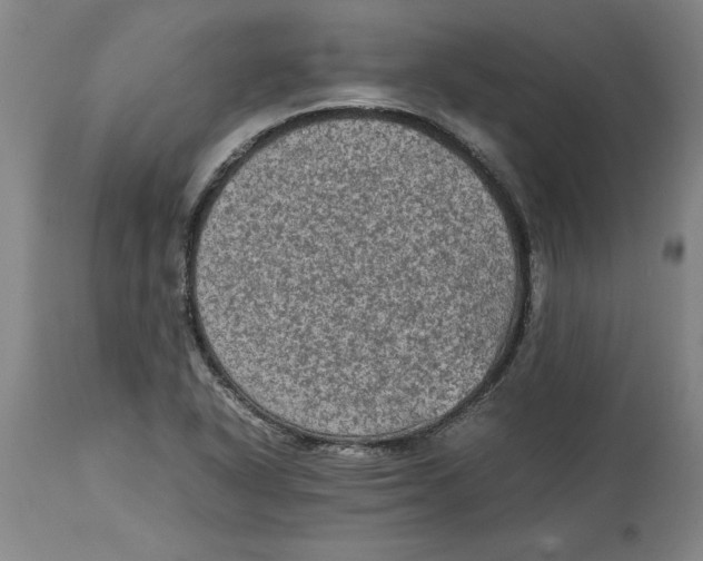 X0000114661318200911101334