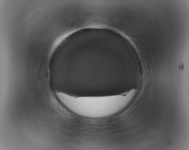 X0000114661319200911101334