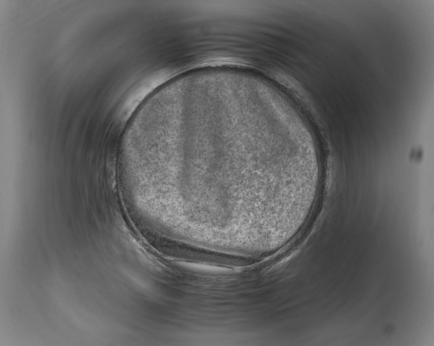 X0000114661321200911101334