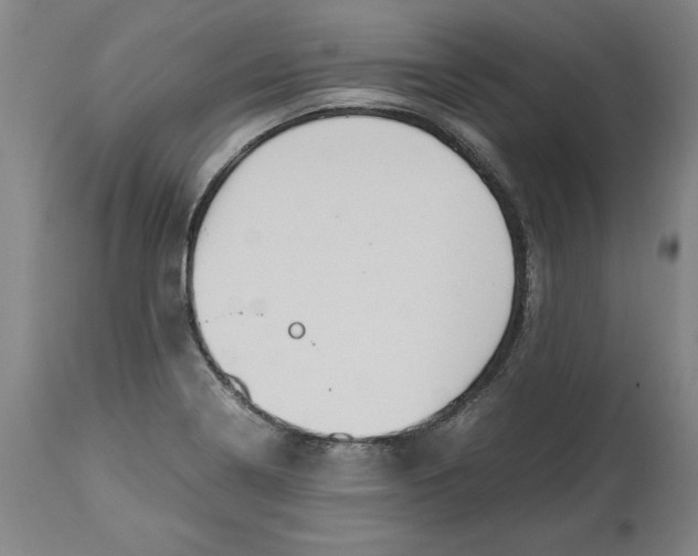 X0000114661322200911101334