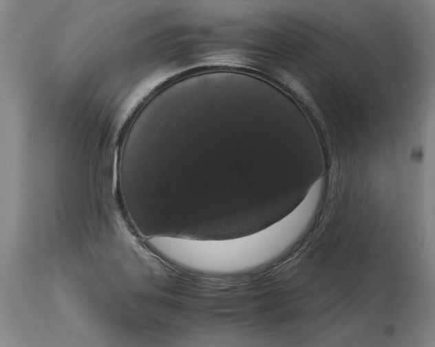 X0000114661323200911101334