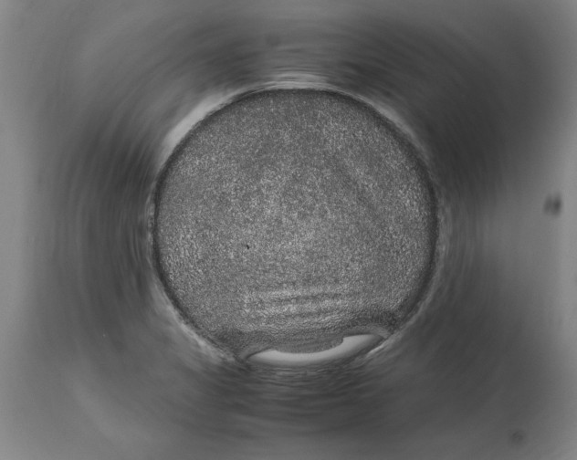 X0000114661325200911101334