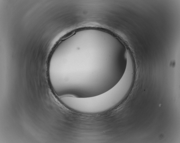 X0000114661326200911101334