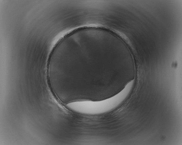 X0000114661327200911101334