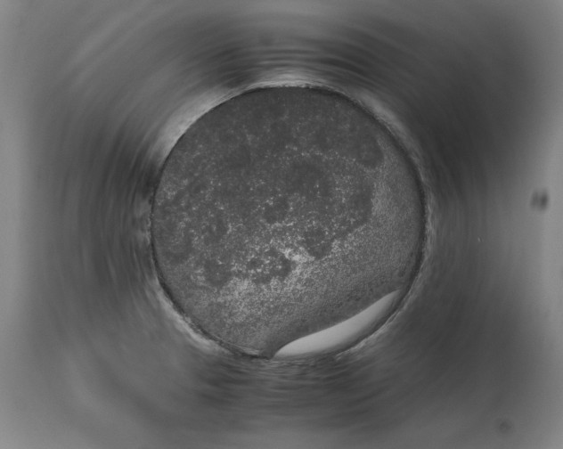 X0000114661329200911101334