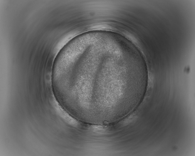 X0000114661330200911101334