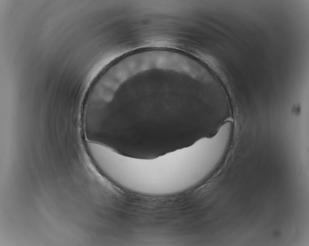 X0000114661331200911101334