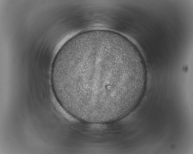 X0000114661333200911101334