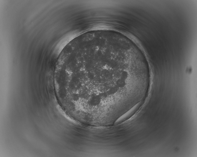 X0000114661337200911101334