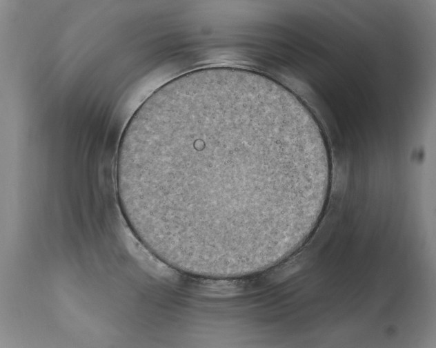 X0000114661338200911101334