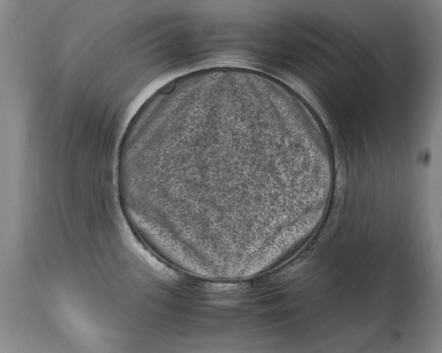 X0000114661339200911101334