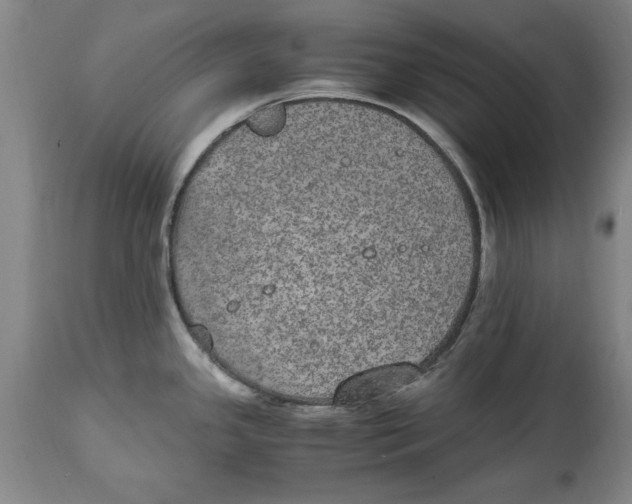 X0000114661341200911101334