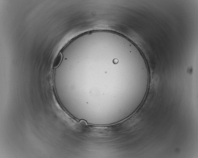 X0000114661342200911101335