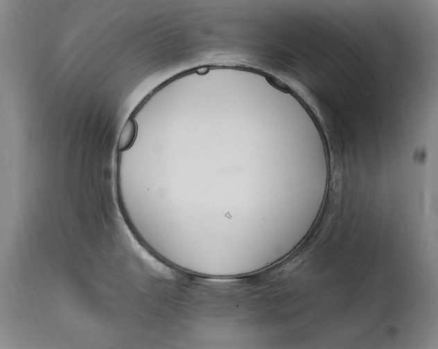 X0000114661343200911101335