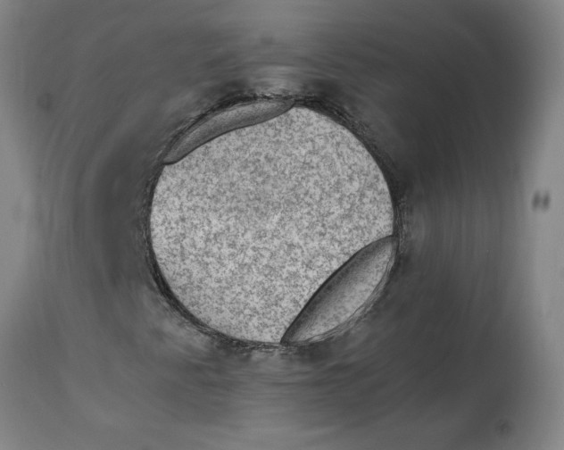 X0000114661345200911101334