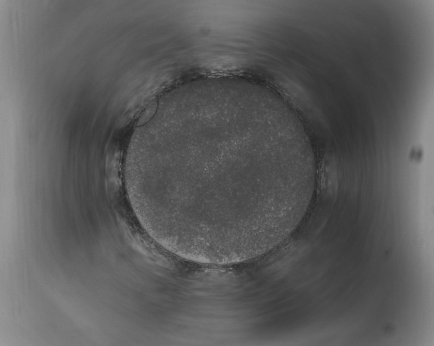 X0000114661346200911101334