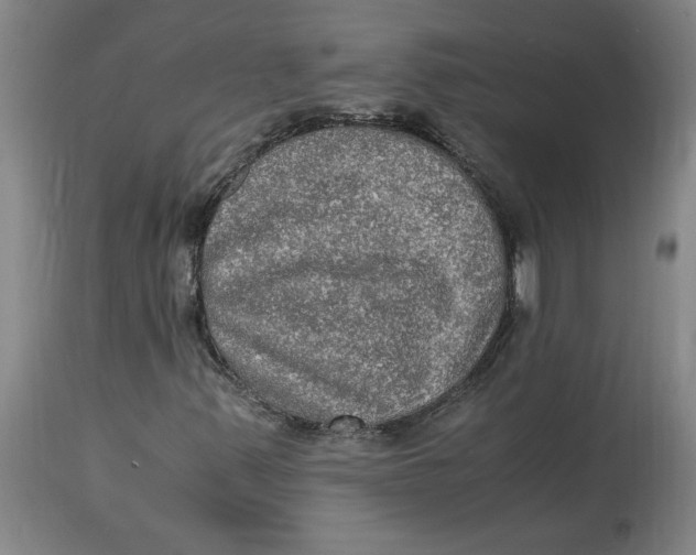 X0000114661347200911101334