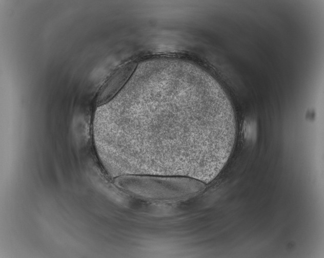 X0000114661348200911101334