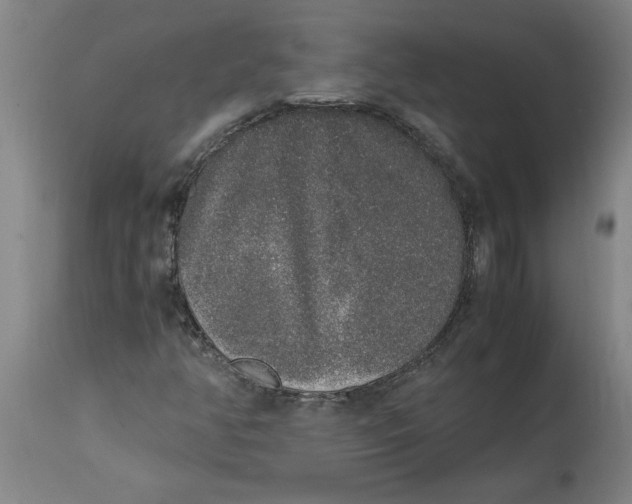 X0000114661350200911101334