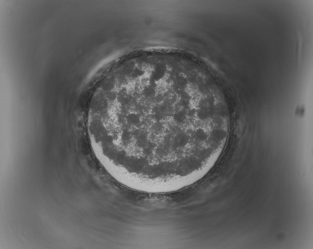 X0000114661351200911101334