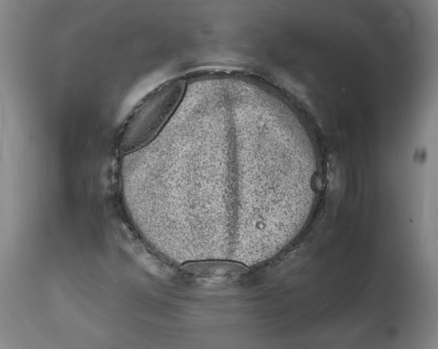 X0000114661352200911101334