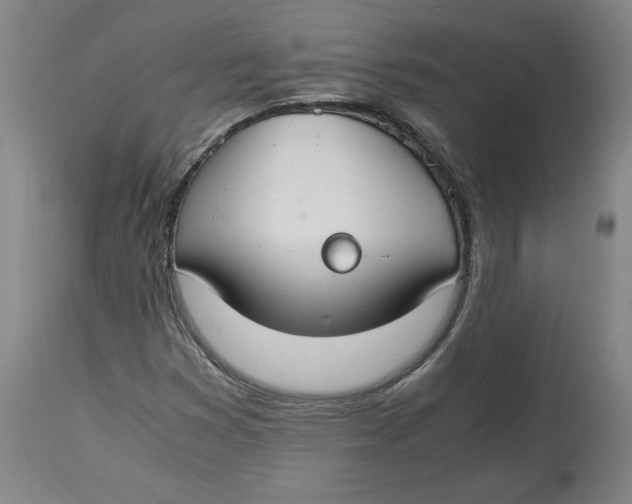 X0000114661353200911101334