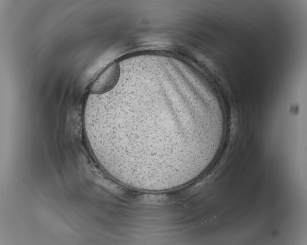 X0000114661354200911101334