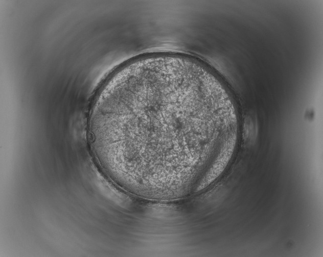 X0000114661356200911101334