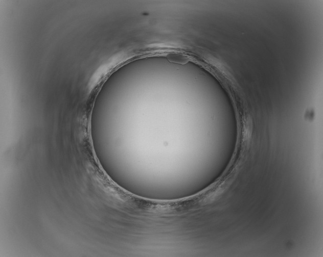 X0000114661357200911101334