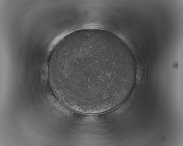 X0000114661358200911101334