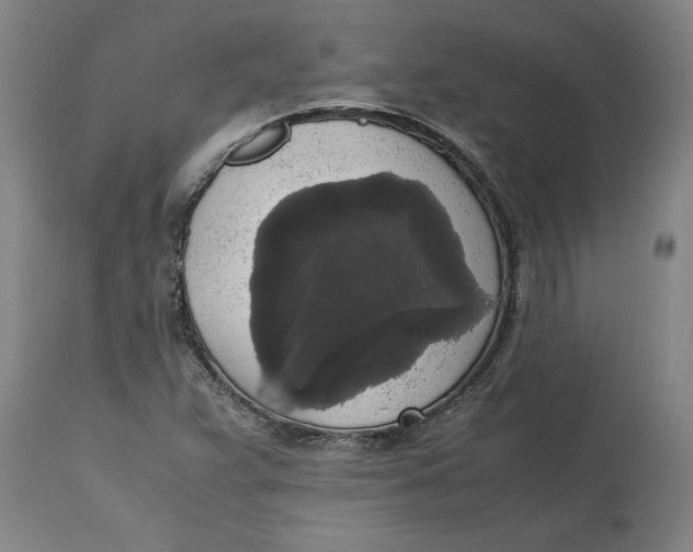 X0000114661359200911101334