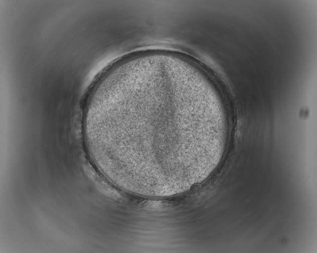 X0000114661360200911101333