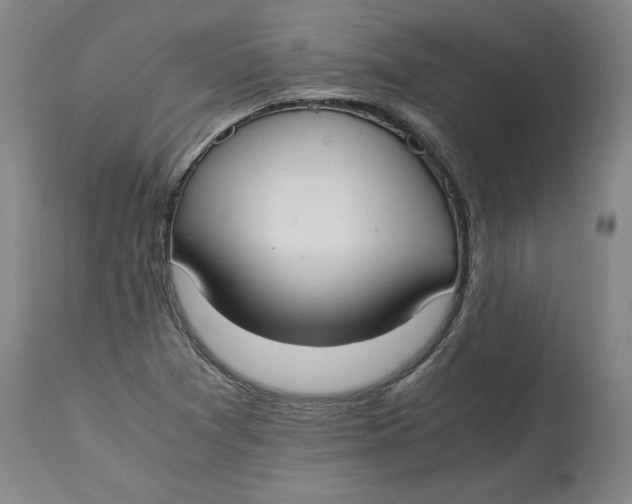 X0000114661361200911101333