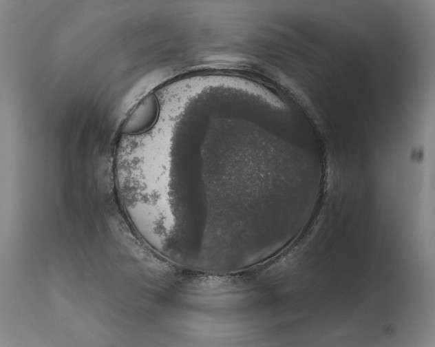 X0000114661362200911101333