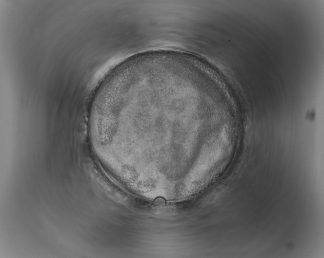 X0000114661363200911101333