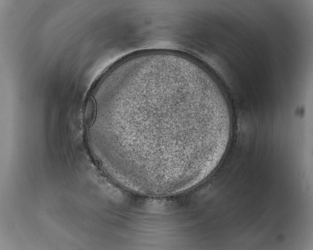 X0000114661364200911101333