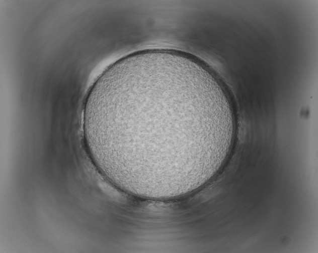 X0000114661366200911101333