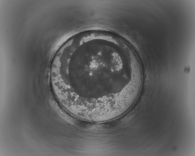 X0000114661367200911101333