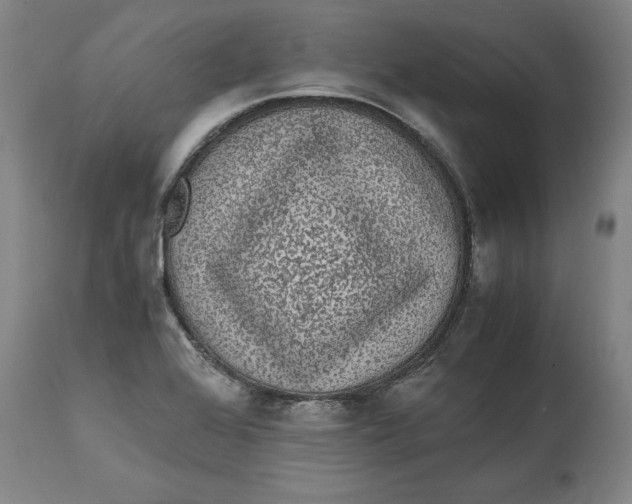 X0000114661368200911101333