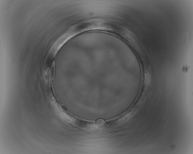 X0000114661369200911101333