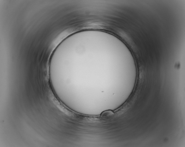 X0000114661370200911101333