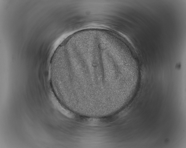 X0000114661371200911101333