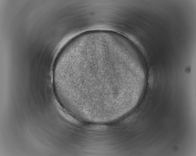 X0000114661372200911101333