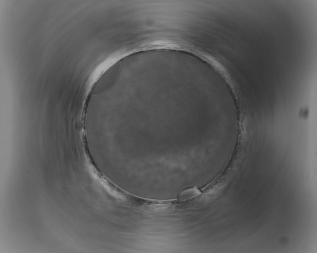 X0000114661373200911101333